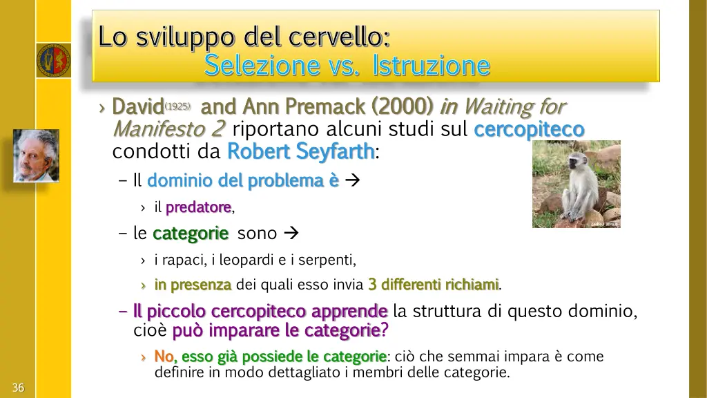 lo sviluppo del cervello lo sviluppo del cervello 10