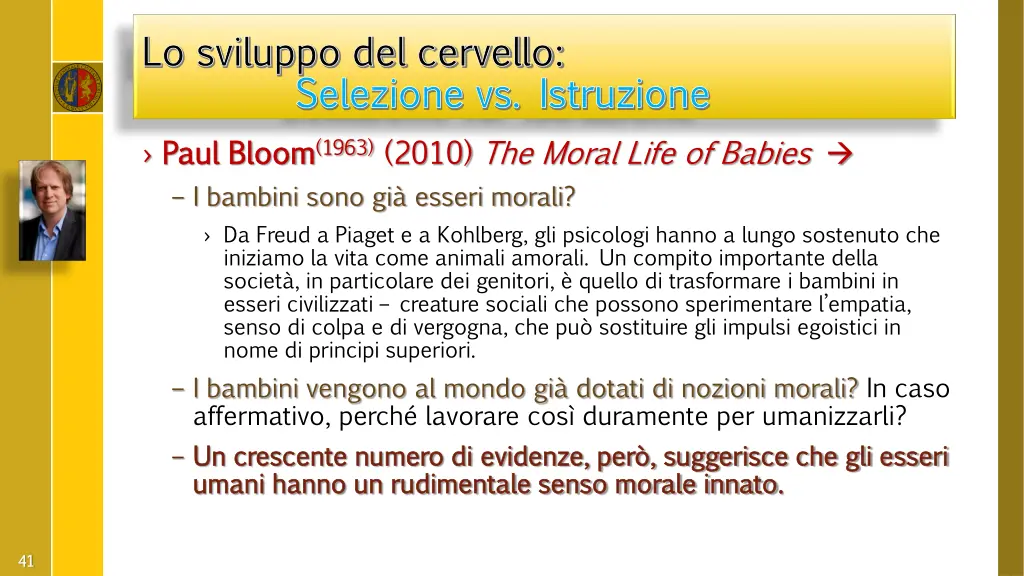 lo sviluppo del cervello lo sviluppo del cervello 13