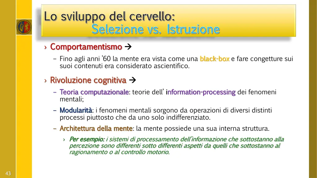 lo sviluppo del cervello lo sviluppo del cervello 14