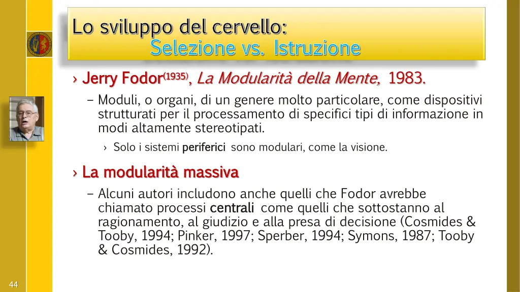 lo sviluppo del cervello lo sviluppo del cervello 15