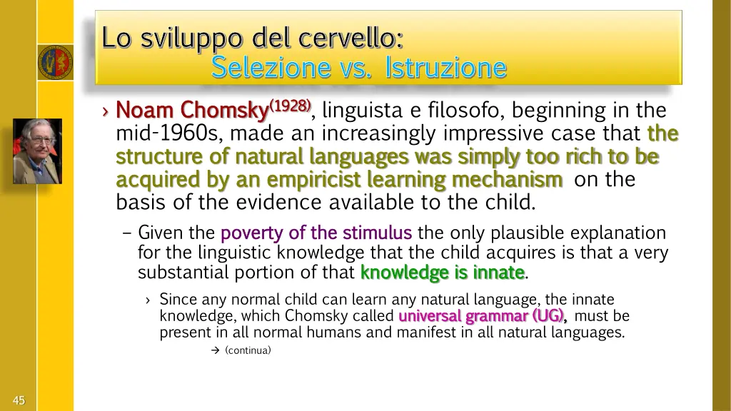 lo sviluppo del cervello lo sviluppo del cervello 16