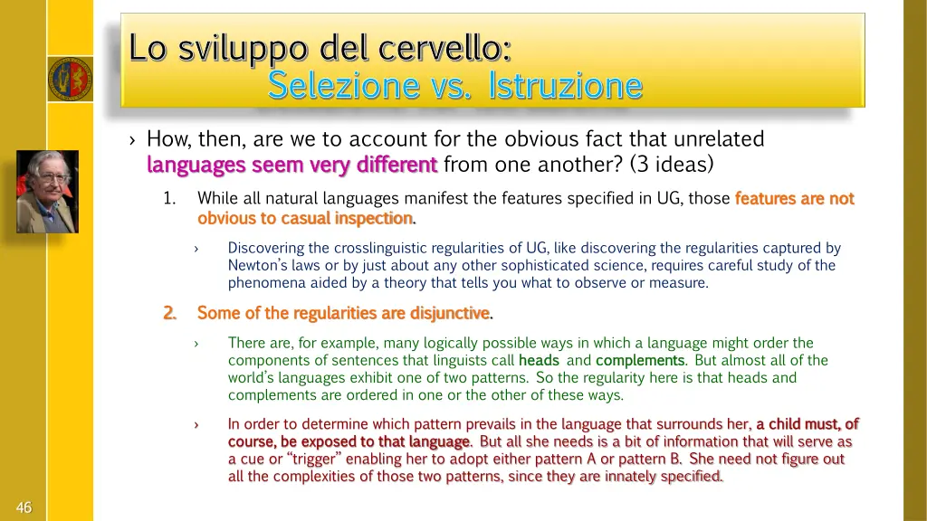 lo sviluppo del cervello lo sviluppo del cervello 17