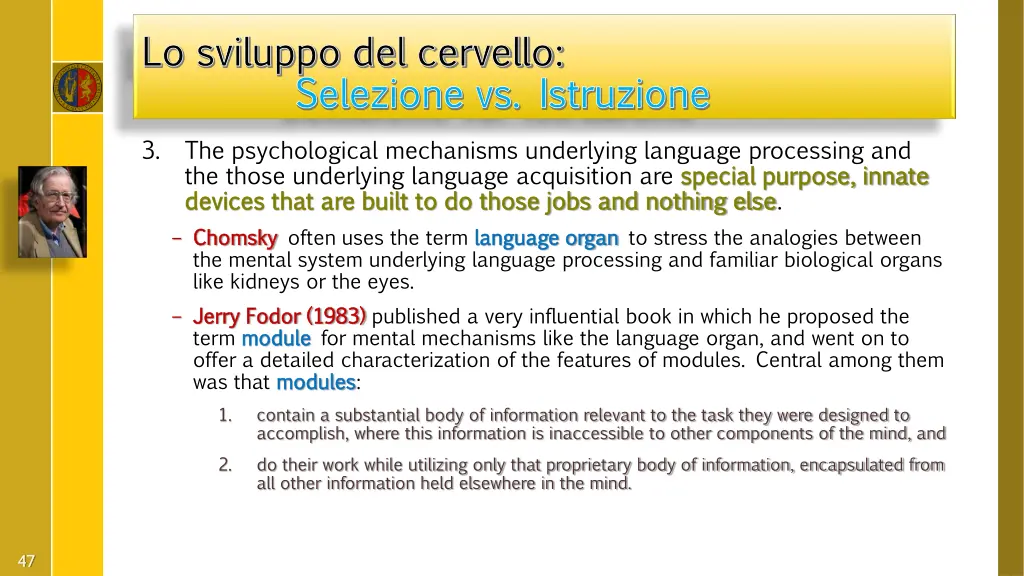 lo sviluppo del cervello lo sviluppo del cervello 18