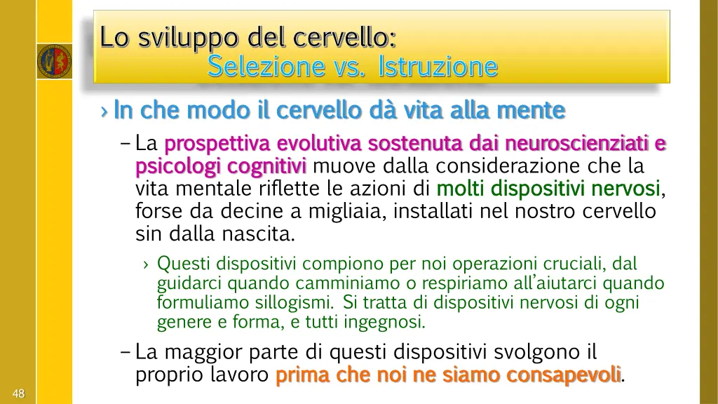 lo sviluppo del cervello lo sviluppo del cervello 19