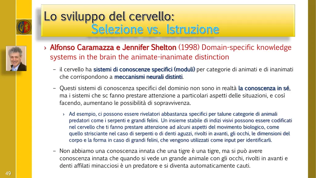 lo sviluppo del cervello lo sviluppo del cervello 20