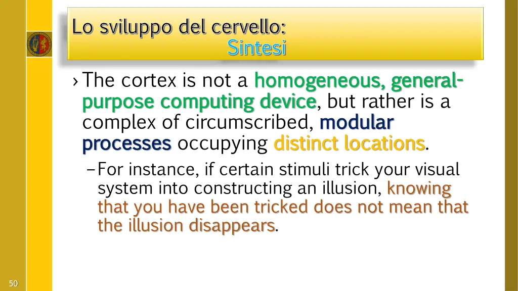 lo sviluppo del cervello lo sviluppo del cervello 21