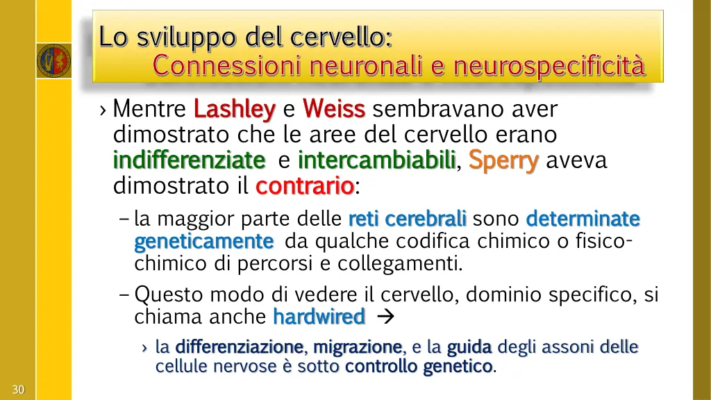 lo sviluppo del cervello lo sviluppo del cervello 7