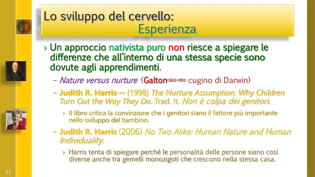 lo sviluppo del cervello lo sviluppo del cervello 8