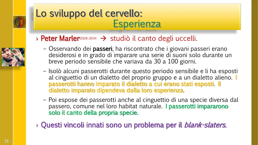lo sviluppo del cervello lo sviluppo del cervello 9