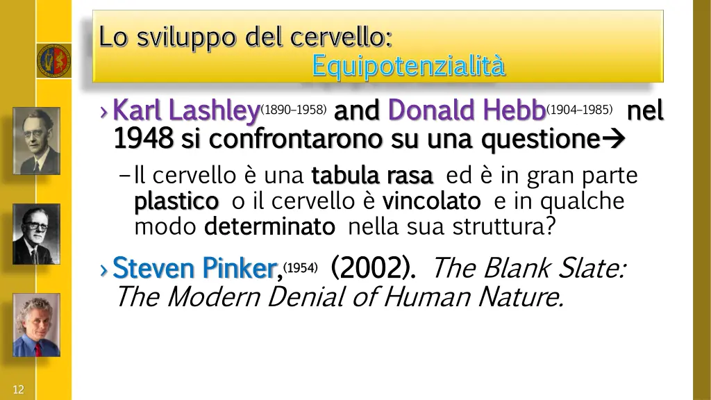 lo sviluppo del cervello lo sviluppo del cervello