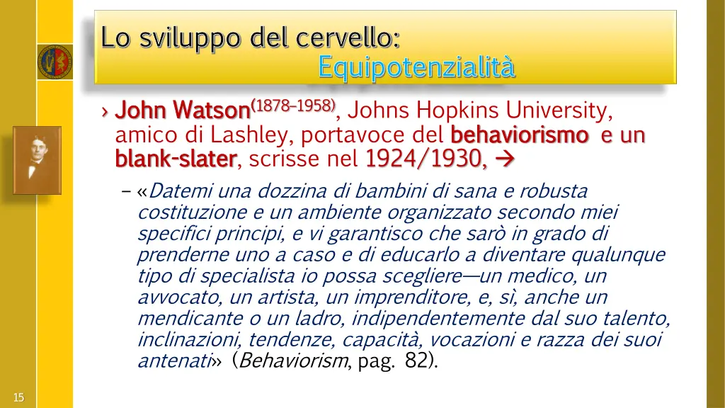 lo sviluppo del lo sviluppo del cervello 2
