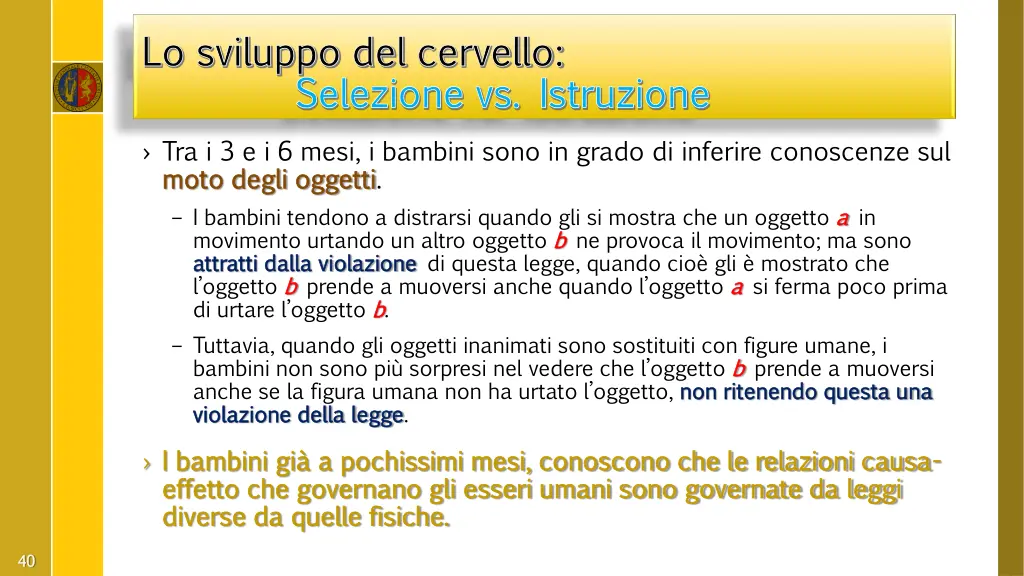 lo sviluppo del lo sviluppo del cervello 6