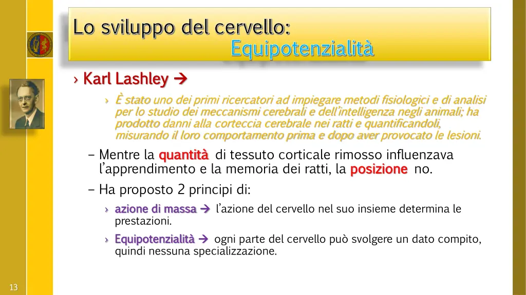 lo sviluppo del lo sviluppo del cervello