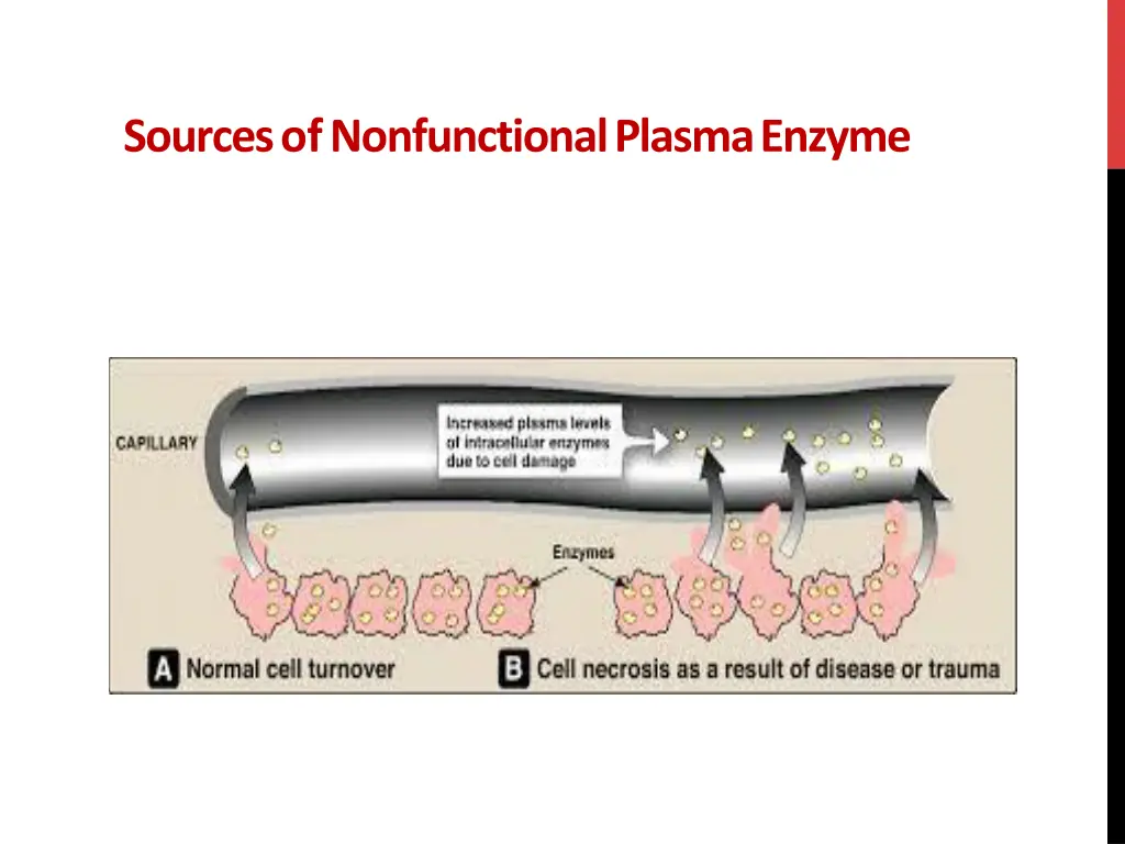 sourcesofnonfunctionalplasmaenzyme