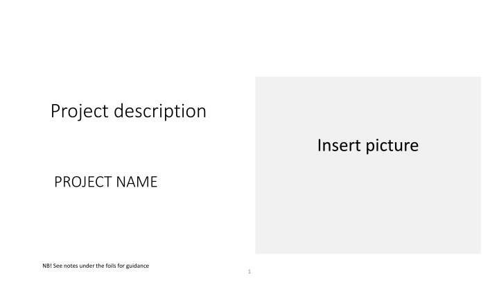project description