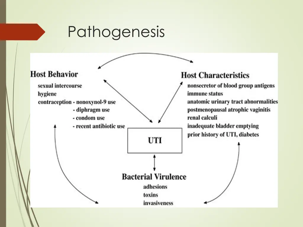 pathogenesis