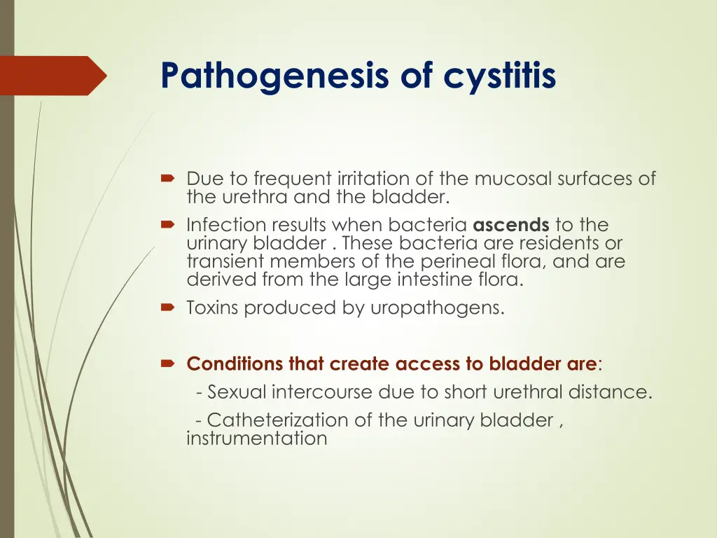 pathogenesis of cystitis