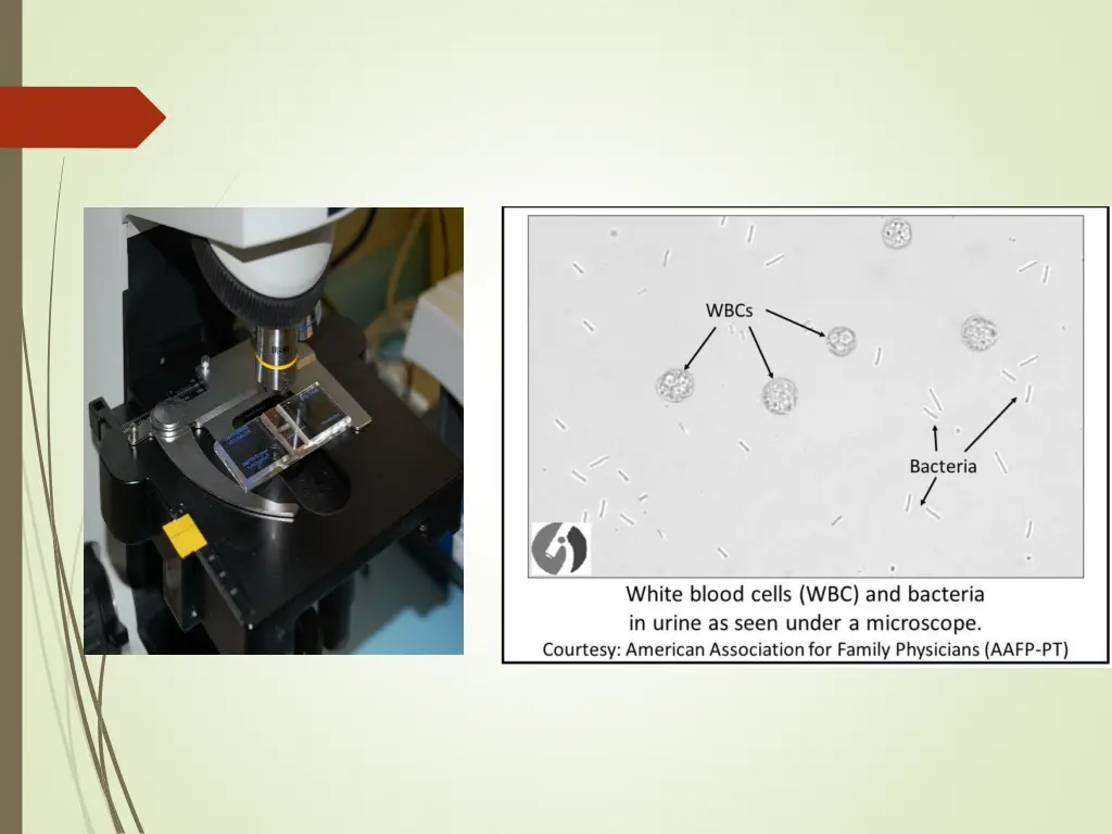 slide19