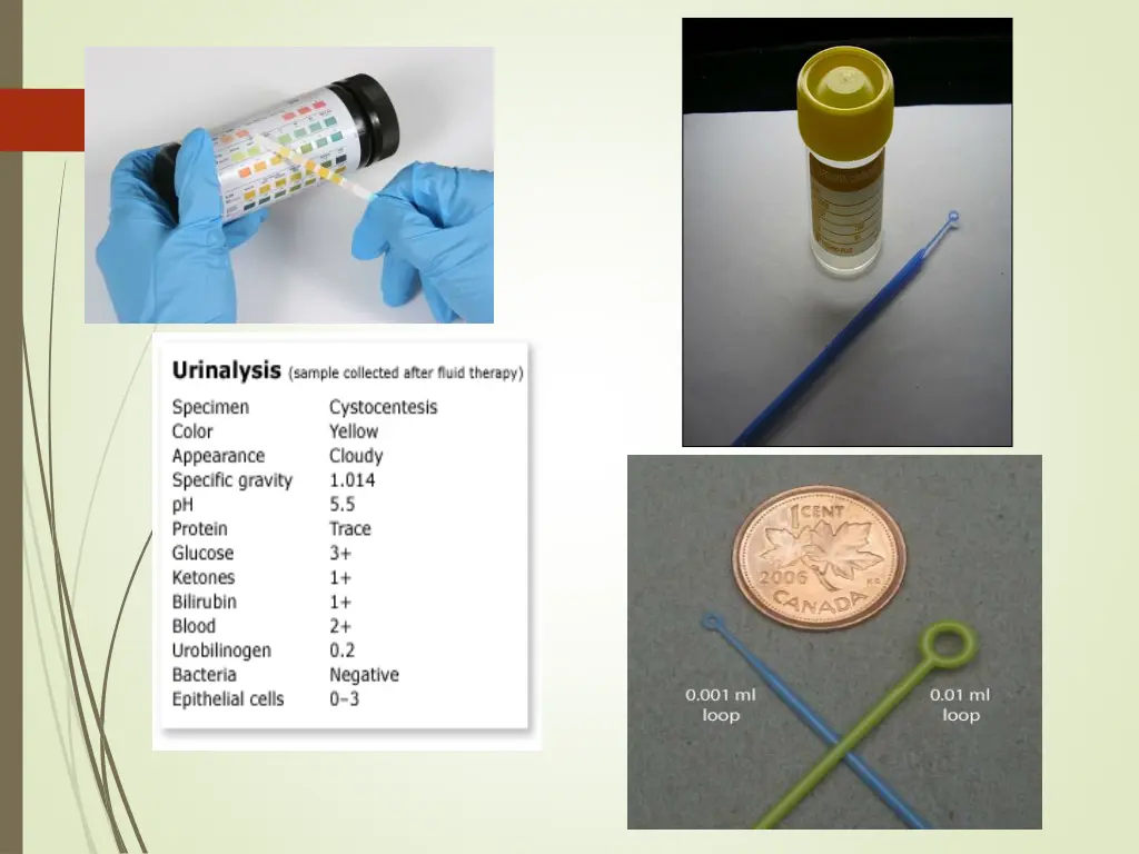 slide21