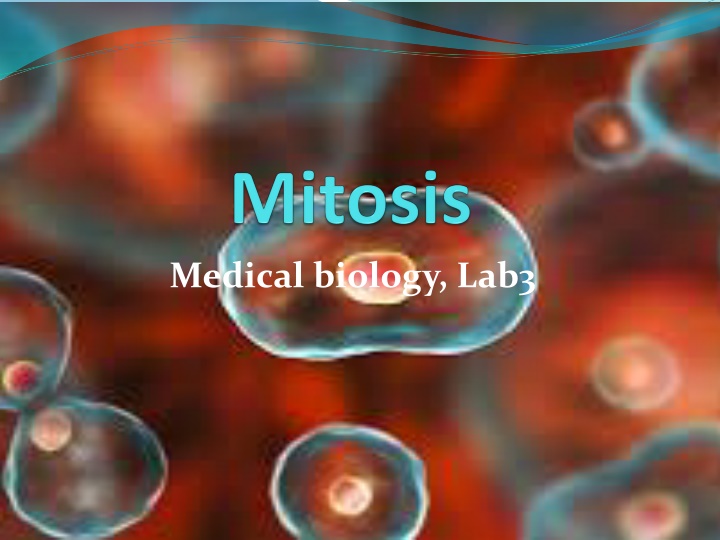 medical biology lab3