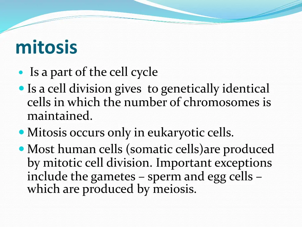 mitosis