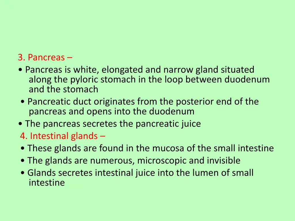 3 pancreas pancreas is white elongated and narrow