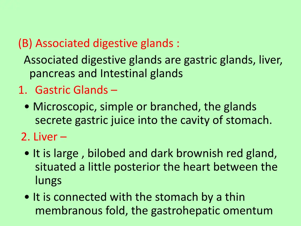 b associated digestive glands associated