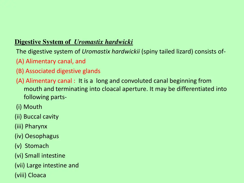 digestive system of uromastix hardwicki