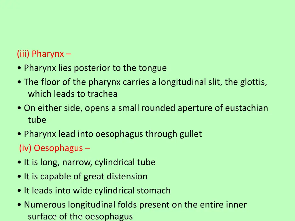 iii pharynx pharynx lies posterior to the tongue