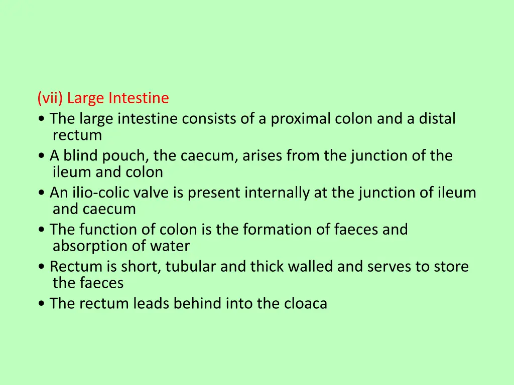 vii large intestine the large intestine consists