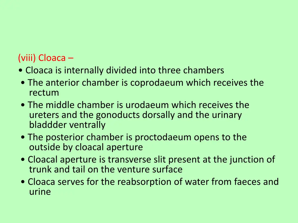 viii cloaca cloaca is internally divided into