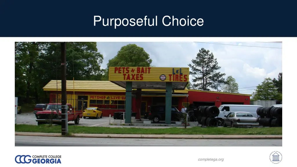 purposeful choice