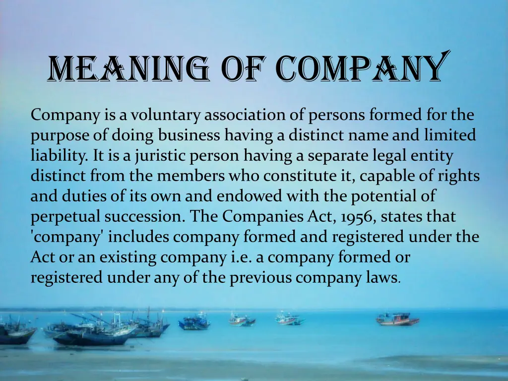 meaning of company