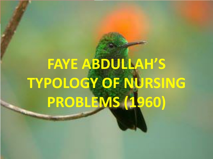 faye abdullah s typology of nursing problems 1960