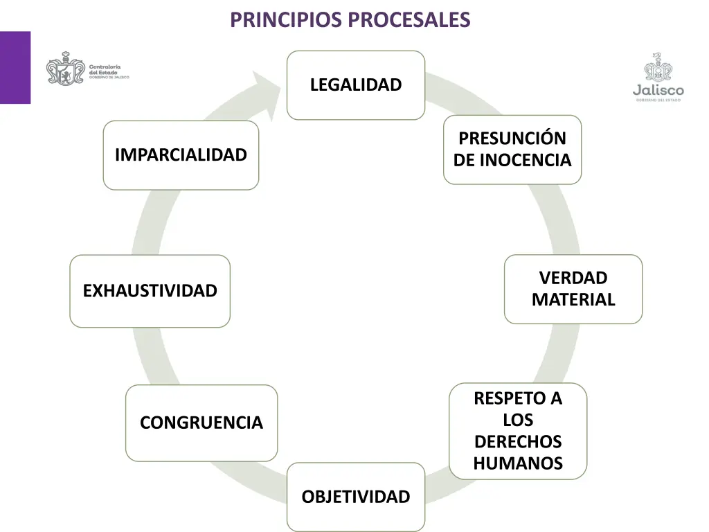 principios procesales