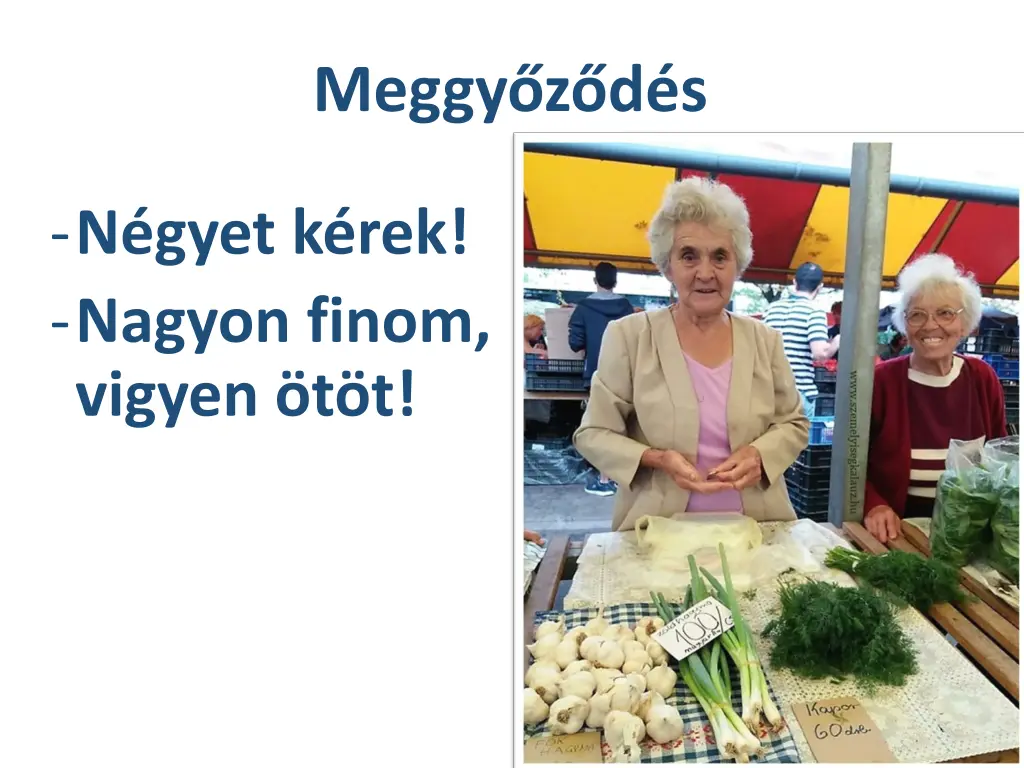meggy z d s