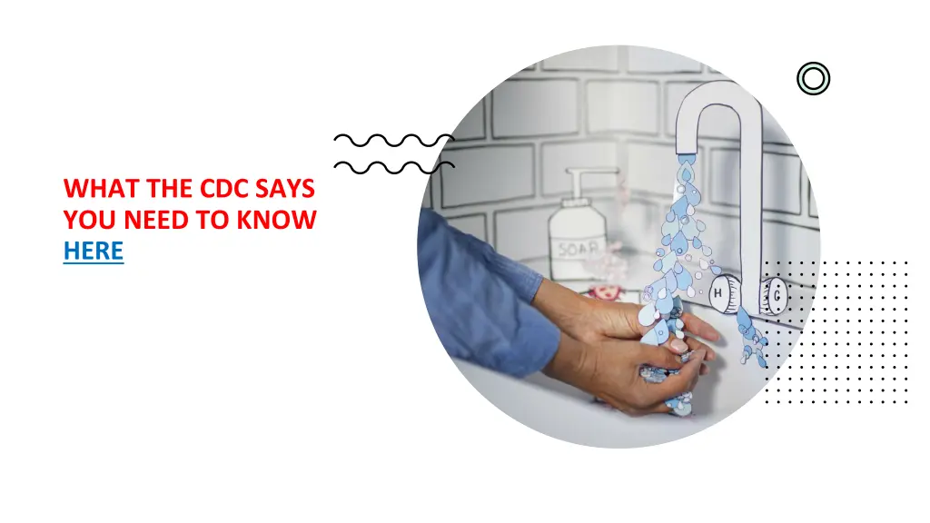 what the cdc says you need to know here