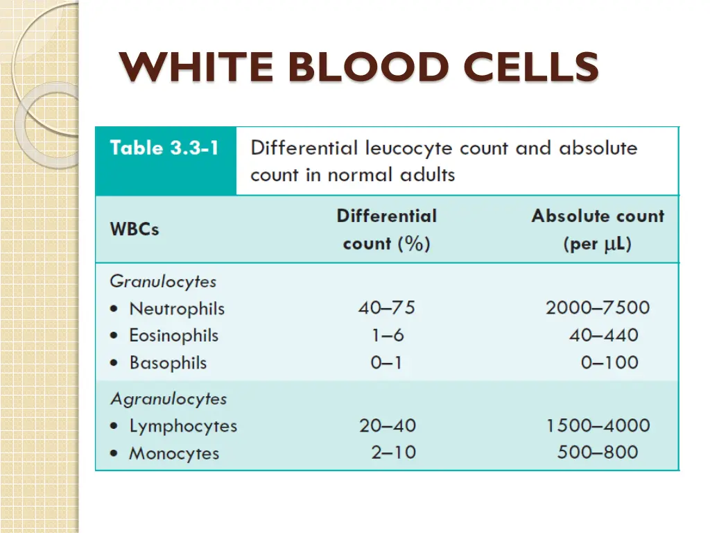 white blood cells