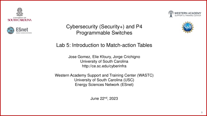 cybersecurity security and p4 programmable