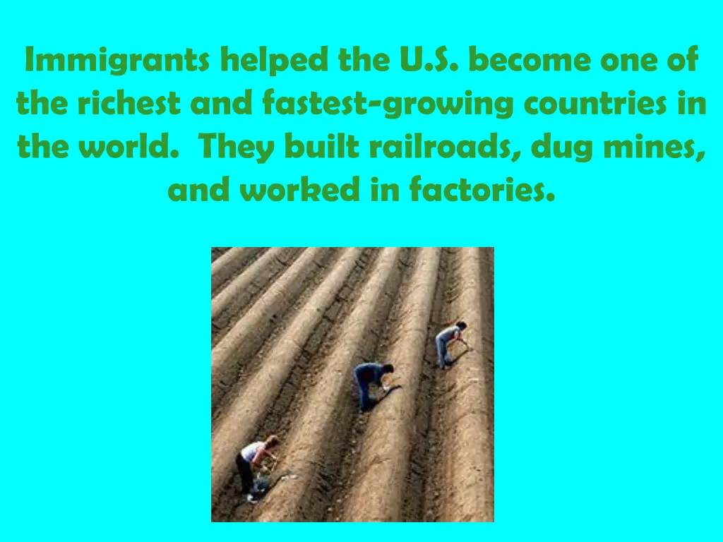 immigrants helped the u s become