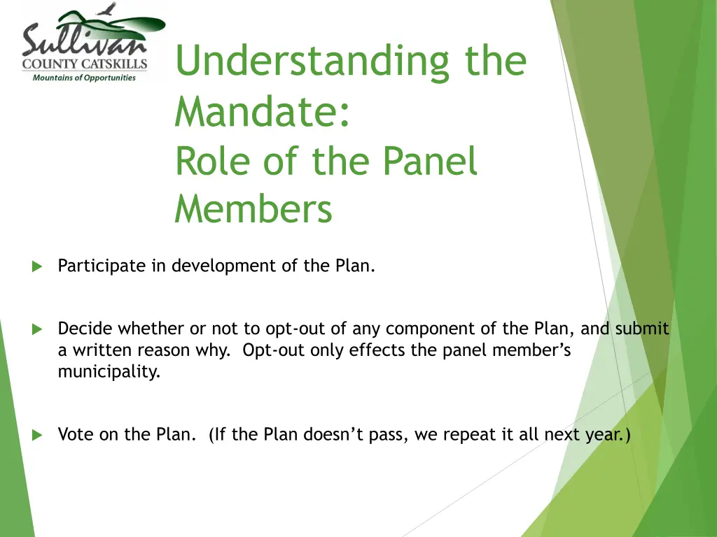 understanding the mandate role of the panel