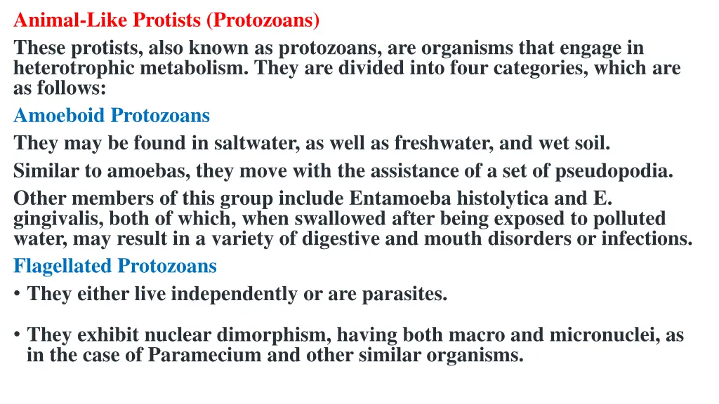animal like protists protozoans these protists
