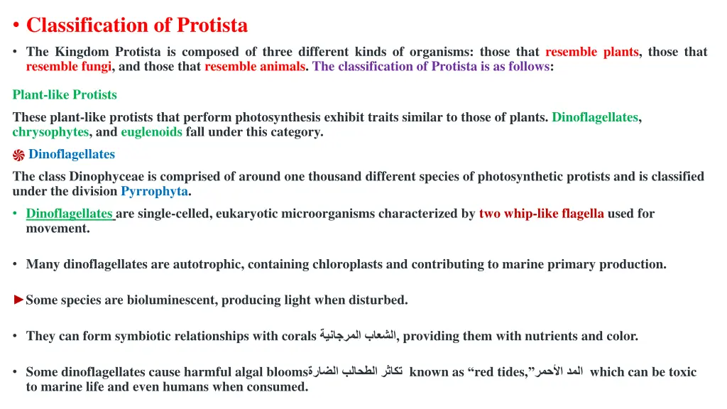 classification of protista the kingdom protista