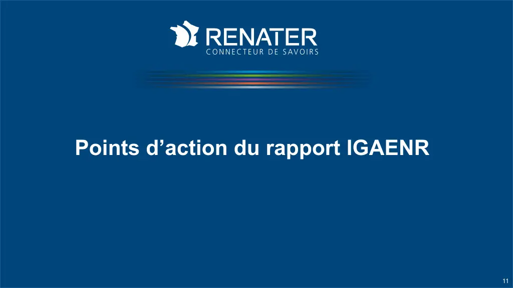 points d action du rapport igaenr