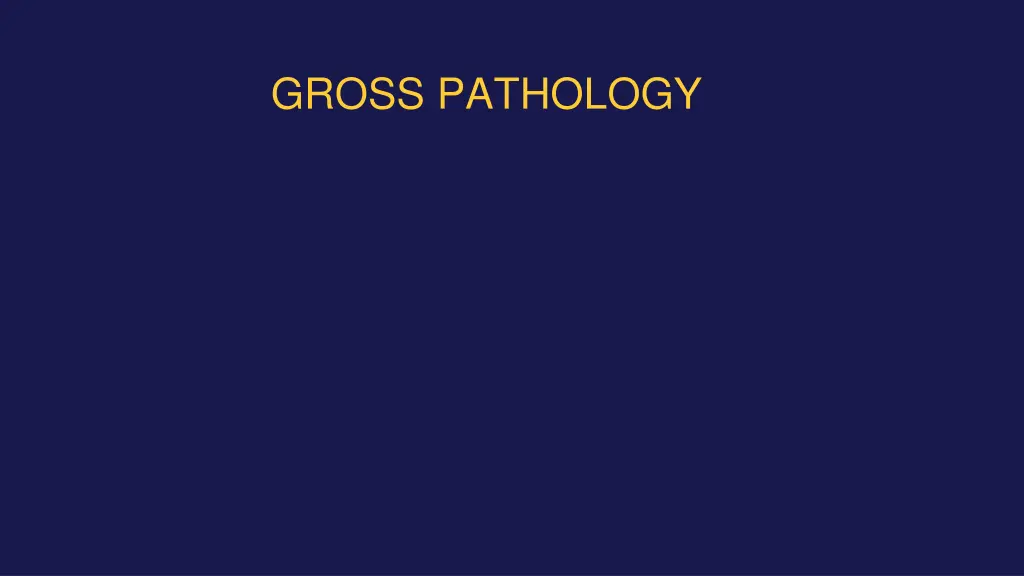 gross pathology