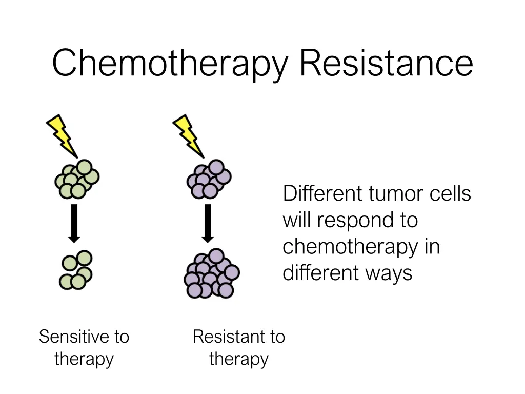 chemotherapy resistance