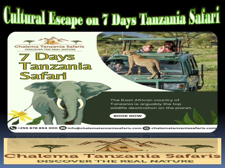 cultural escape on 7 days tanzania safari