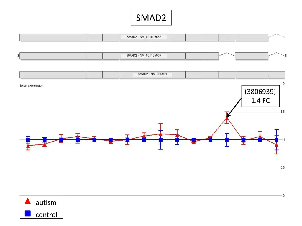 smad2