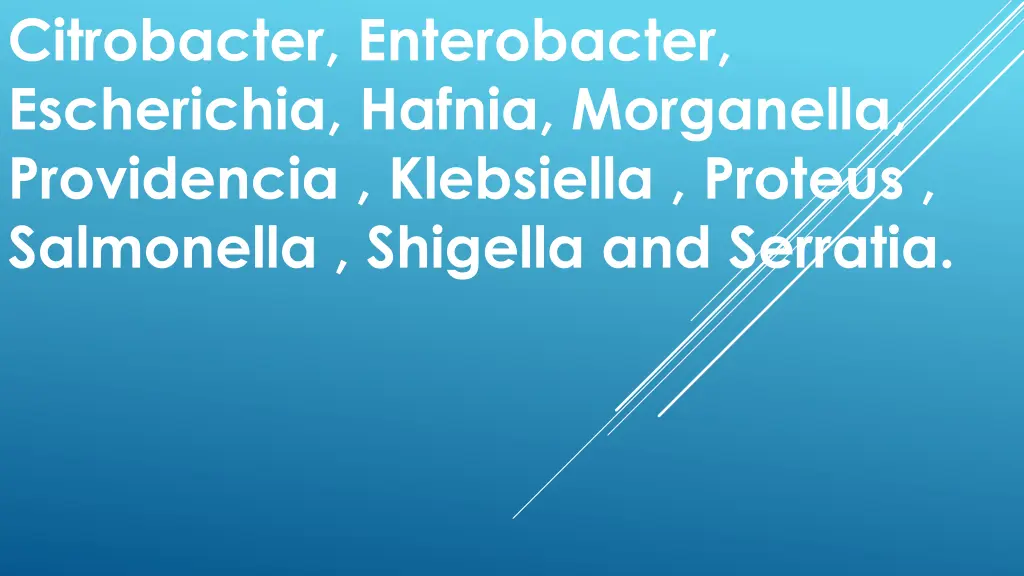 citrobacter enterobacter escherichia hafnia