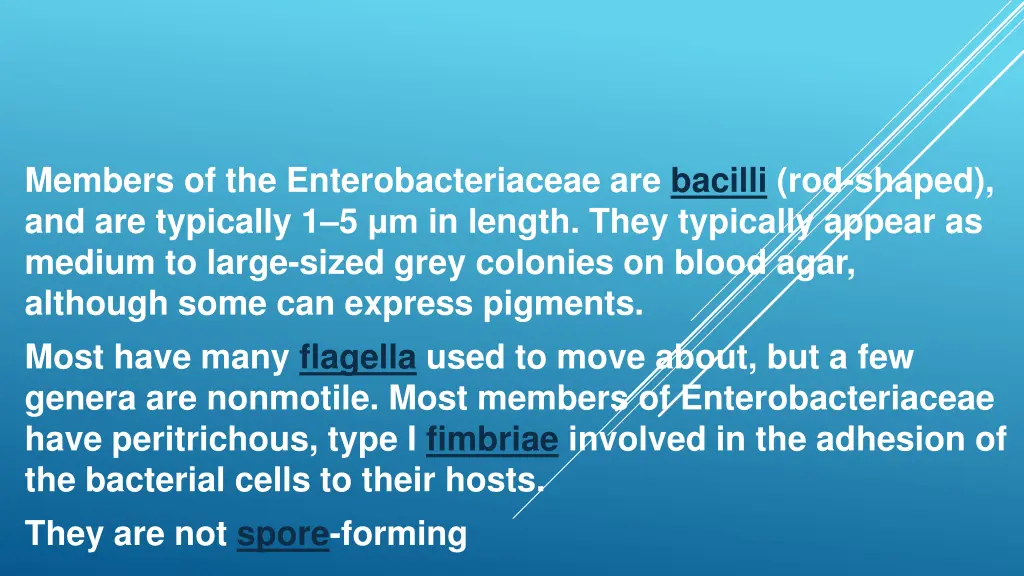 members of the enterobacteriaceae are bacilli